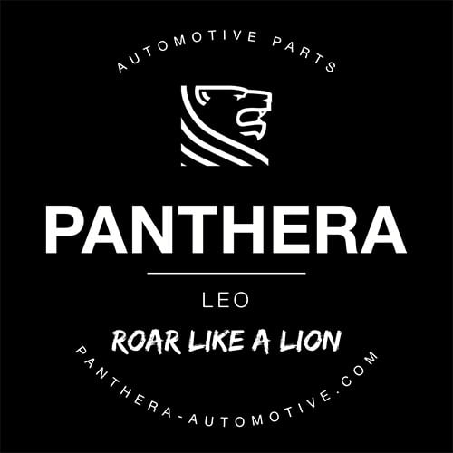 Panthera Leo Pro Sound Generators