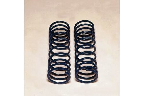 Kerscher Progressive Suspension Springs 060, fits Volkswagen Beetle